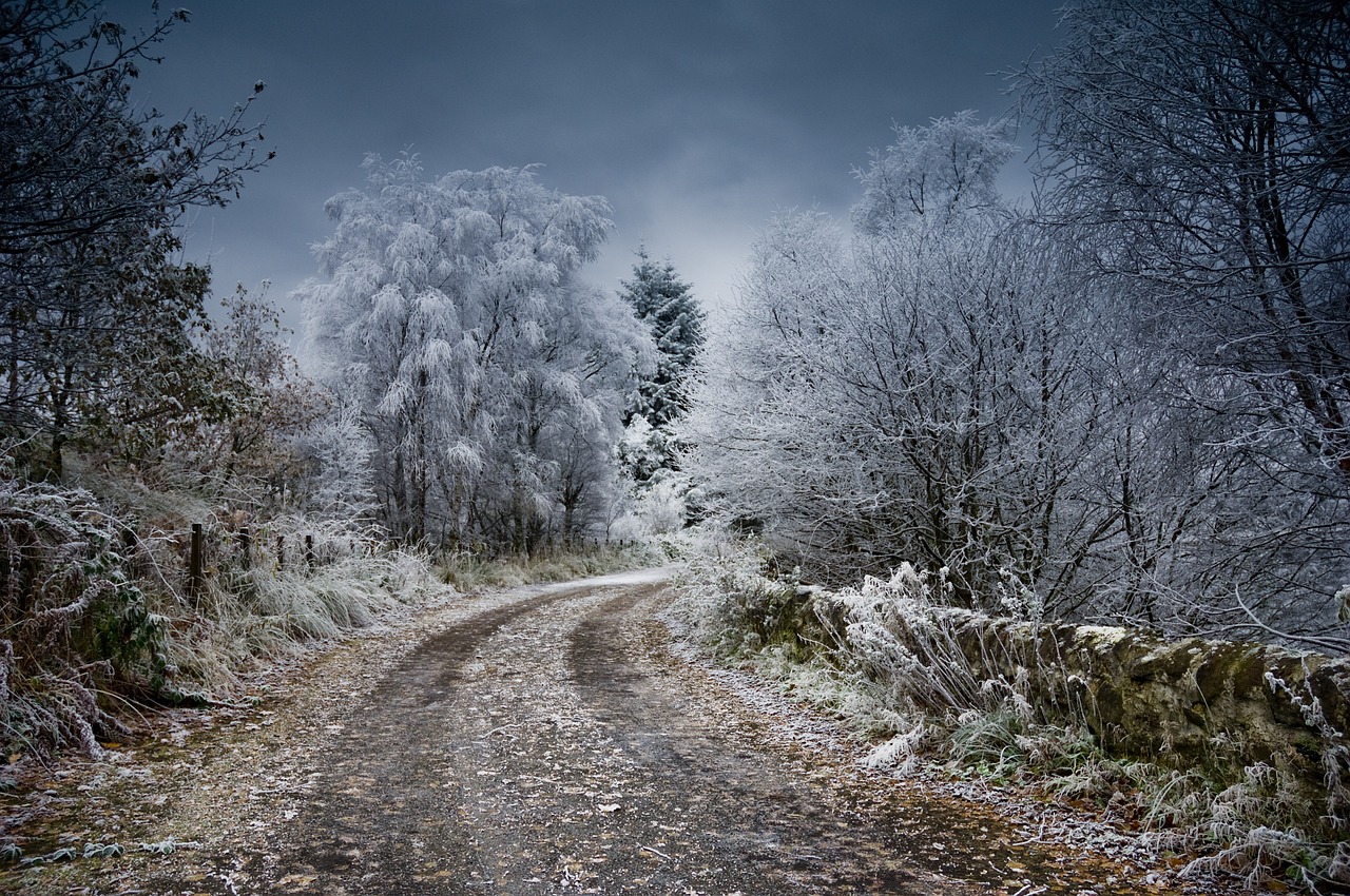 Cold scotland